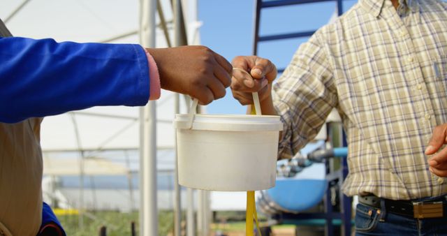 Farm Workers Collaborating and Carrying Supplies in Greenhouse - Download Free Stock Images Pikwizard.com