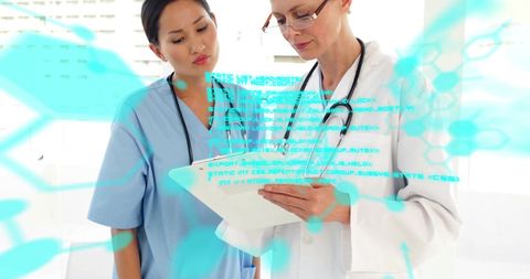 Female Doctors Discuss Digital Medical Data - Download Free Stock Images Pikwizard.com
