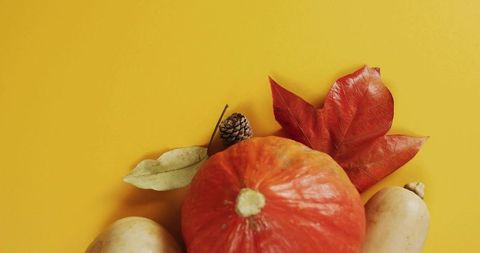 Autumn harvest flat lay featuring orange pumpkin, butternut squash, maple leaf, yellow backdrop