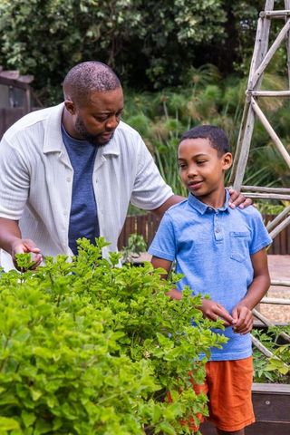 African american father teaching son gardening with mint in backyard raised herb bed