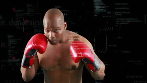Boxer Training with Binary Code: Digital Determination