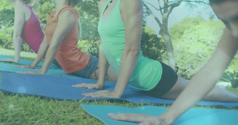 Group outdoor yoga practicing upward dog on blue mats in sunny park for fitness