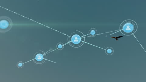 Digital Network Connections Globally Visualized