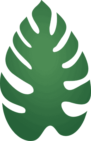 Flat design green monstera leaf on transparent background