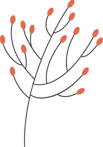 Transparent Branch with Orange Buds Minimalist Vector Art - Download Free Stock Videos Pikwizard.com