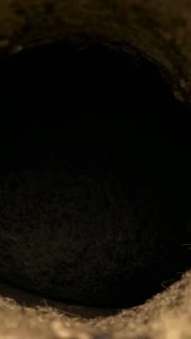 Moving camera exploring dark circular burrow in soil with fibrous rim and moss