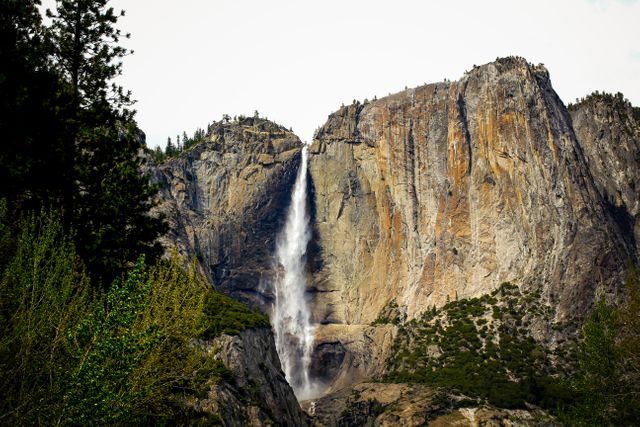 Majestic Waterfall Cascading Down Rocky Cliff in Forest - Download Free Stock Photos Pikwizard.com