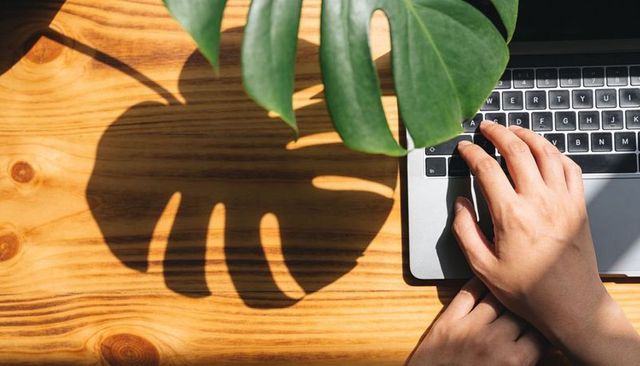 Hands typing on laptop next to monstera shadow casting over sunlit wooden desk