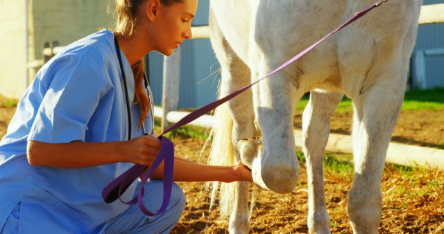 Veterinarian wearing blue scrubs is examining a horse's hoof in an outdoor setting, illustrating professional animal care. Suitable for promoting veterinary services, rural healthcare facilities, animal welfare articles, and equine care guides.