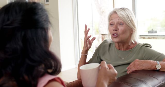 Senior and Younger Woman Engaging in Conversation at Home - Download Free Stock Images Pikwizard.com