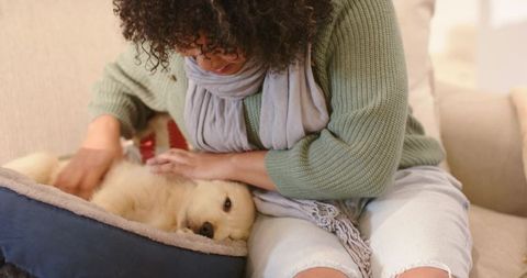 African American woman cuddling golden retriever puppy in cozy living room on sofa