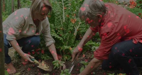 Senior Couple Planting Vegetables in Lush Green Garden