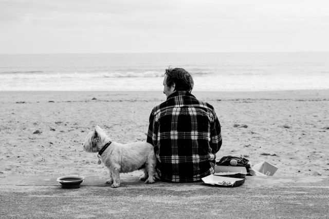 A person, seen from the back, sitting on the beach with a dog, both looking out at the ocean. The setting is casual and serene, with both enjoying the calmness of the scenery. This visual can be used for themes of relaxation, companionship, outdoor activities, or pet bonding. It brings a sense of peace and connection with nature.