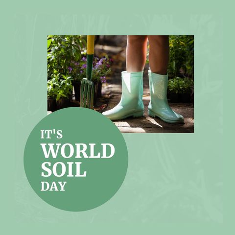 World soil day with child gardening in backyard