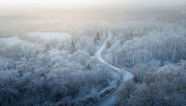 Snaking Snowy Road Curving Through Frosted Winter Forest at Soft Sunrise, Aerial Landscape