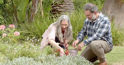 Senior couple enjoying gardening together in lush yard