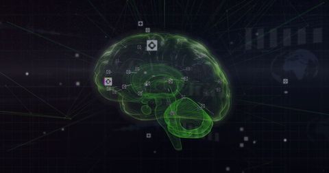 Digital Brain with Network Connections and Data Processing - Download Free Stock Images Pikwizard.com