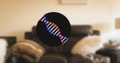 dna strand overlay on stylish living room interior - Download Free Stock Images Pikwizard.com