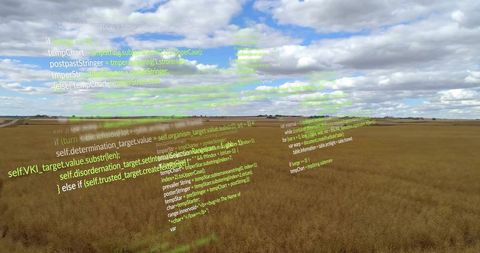 Holographic data stream hovering above wheat field representing precision agriculture