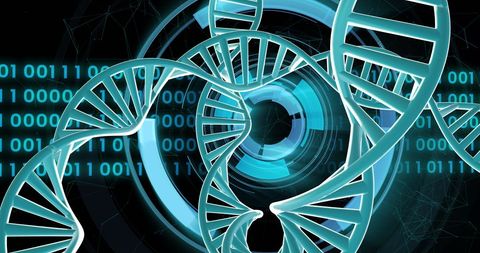Digital DNA Strands with Binary Code Technology Background - Download Free Stock Images Pikwizard.com