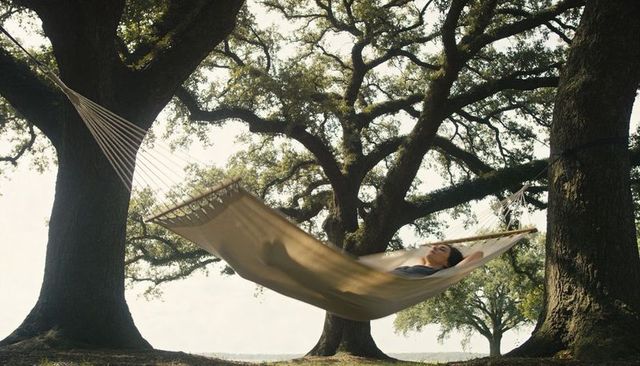 Young woman relaxing in hammock under sprawling oak canopy in sunlit meadow