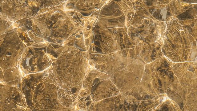 Golden caustics over shallow sand and pebbles, sparkling amber water surface texture close-up