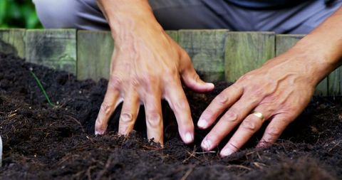 Senior Man Planting in Soil on Sunny Day - Download Free Stock Images Pikwizard.com