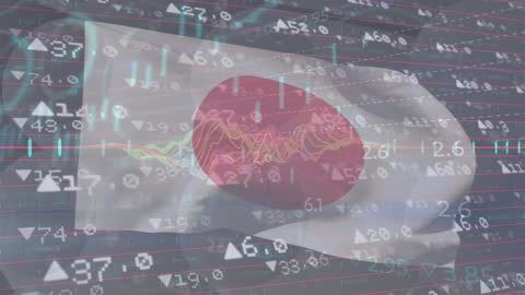 Global Network with Dynamic Financial Data in Japan