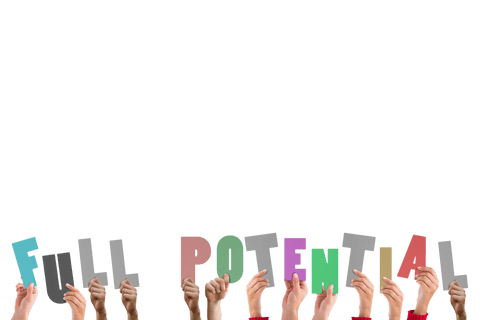 hands holding full potential text on transparent background - Download Free Stock Videos Pikwizard.com