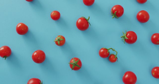 Fresh Cherry Tomatoes on Blue Background - Download Free Stock Images Pikwizard.com