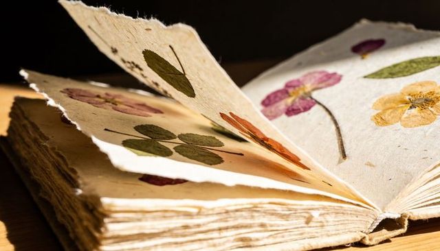 Handmade herbarium book displaying pressed flowers on textured deckled pages