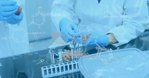 Science Researchers Analyzing Samples in Laboratory Setting - Download Free Stock Images Pikwizard.com