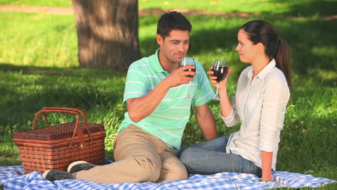 Romantic Couple Enjoying Wine Picnic in Park