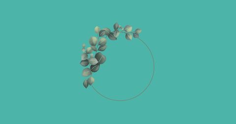 Eucalyptus Leaves on Minimal Green Background - Download Free Stock Images Pikwizard.com