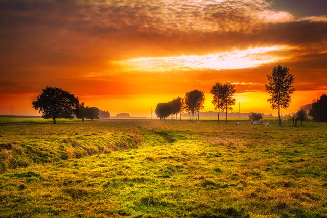 Golden Sunset Over Peaceful Countryside Meadow - Download Free Stock Photos Pikwizard.com