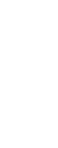 Transparent silhouette of woman with basketball, lifestyle and sport concept