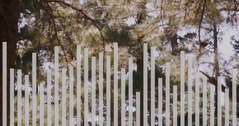 Data Visualization Graph Overlay on Sunlit Forest Scene