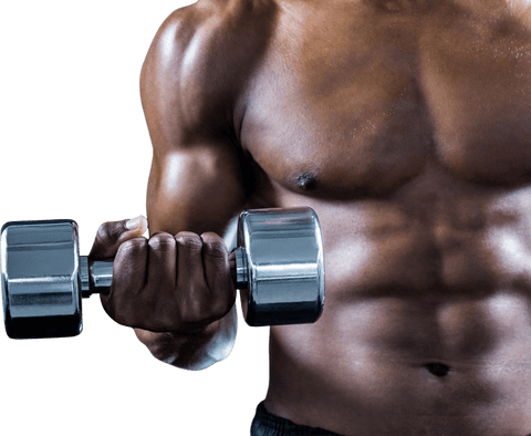 Transparent muscular torso holding dumbbell