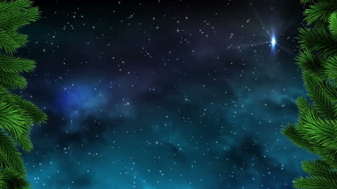 Starry Night Background with Evergreen Fir Borders