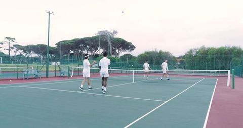 Diverse male doubles tennis team wearing white apparel competing on outdoor green court