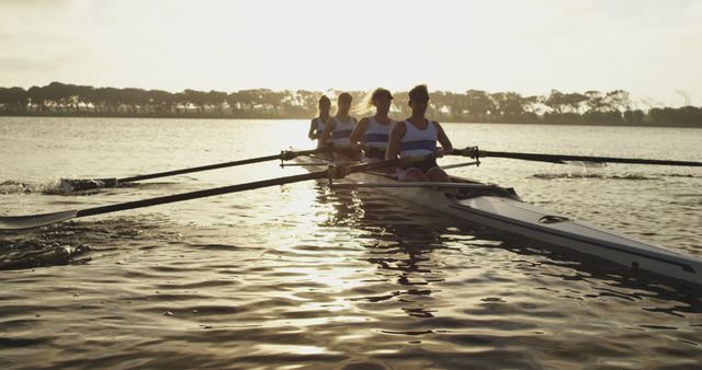 Four Rowers Team Rowing Boat on Lake at Sunset - Download Free Stock Images Pikwizard.com