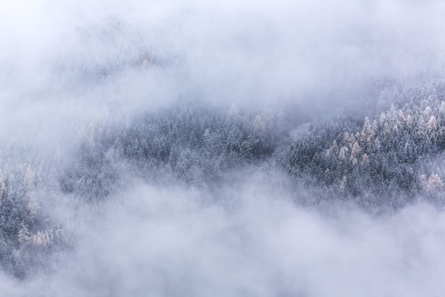 Misty mountain with tree line covered in winter snow, evoking tranquility and silence. Ideal for use in seasonal promotions, nature-themed websites, travel blogs, and backgrounds for winter-related content.