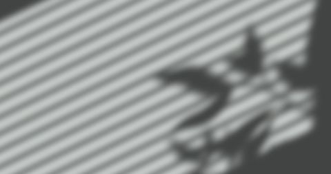 Leaf Shadows Cast on Striped Blinds Background - Download Free Stock Images Pikwizard.com