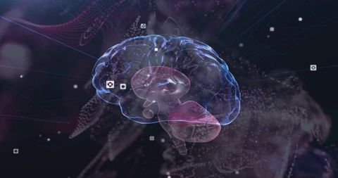 Transparent 3D brain visualization highlighting cerebellum, neural connectivity and data flow