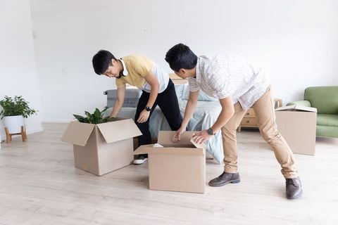 Asian roommates unpacking boxes and placing potted plant in bright cozy modern apartment
