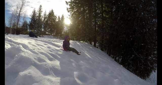 Caucasian Boys Sledding Down Snowy Hillside on Winter Day - Download Free Stock Images Pikwizard.com