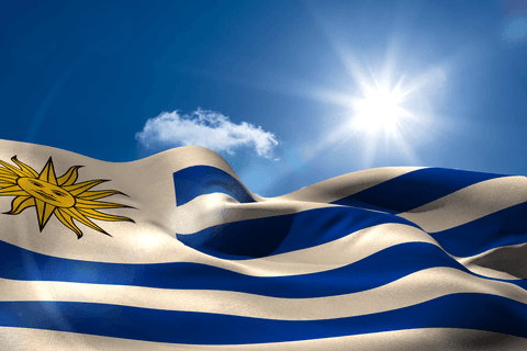 Transparent Uruguay Flag Waving Under Bright Sunlight - Download Free Stock Videos Pikwizard.com