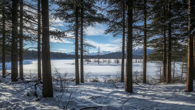 Conifer-framed frozen lake leading to snow-capped mountains with long soft winter shadows