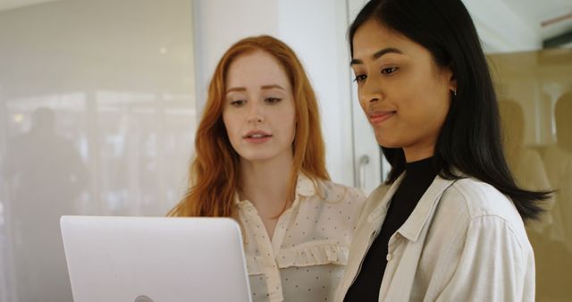 Diverse Team of Young Women Collaborating on Office Project - Download Free Stock Images Pikwizard.com