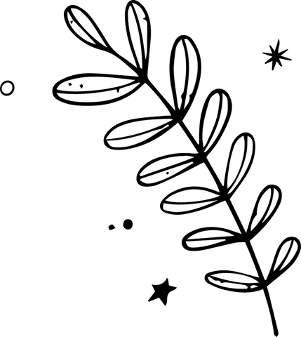 Minimalist transparent leafy twig illustration in black and white